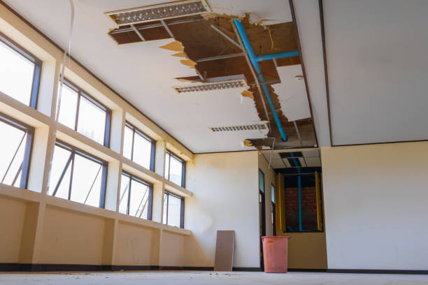 Best Flooded house restoration  in Emeryville, CA