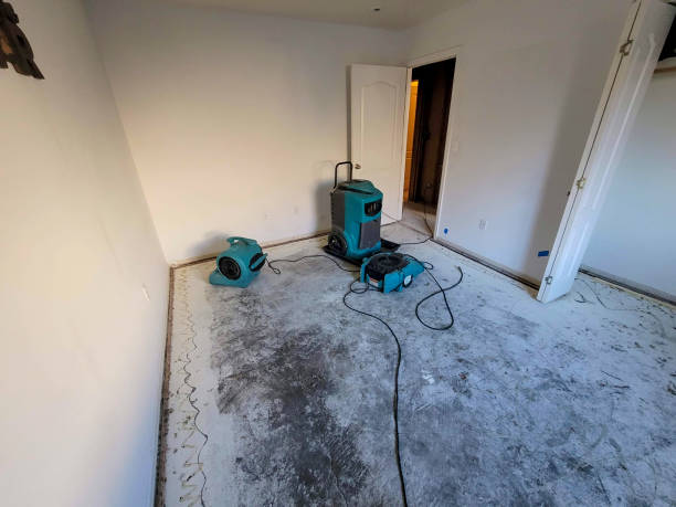 Best Carpet water damage restoration  in Emeryville, CA