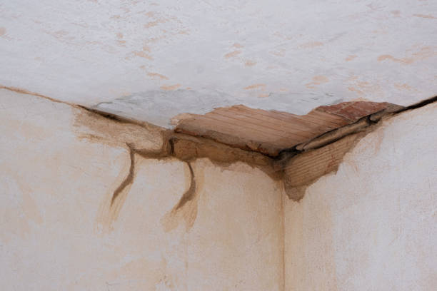 Best Basement water damage restoration  in Emeryville, CA
