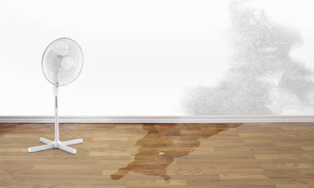 Water damage restoration mold remediation in Emeryville, CA
