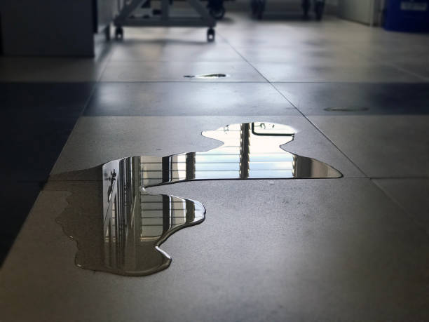 Best Professional water damage repair  in Emeryville, CA
