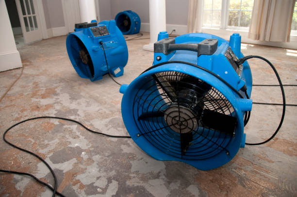Best 24/7 water damage repair  in Emeryville, CA