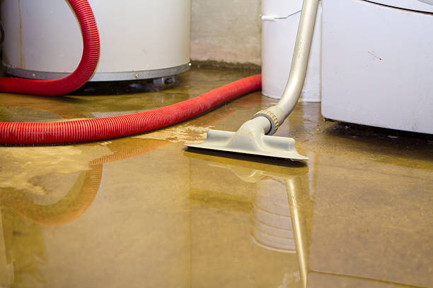 Best Water damage restoration process  in Emeryville, CA