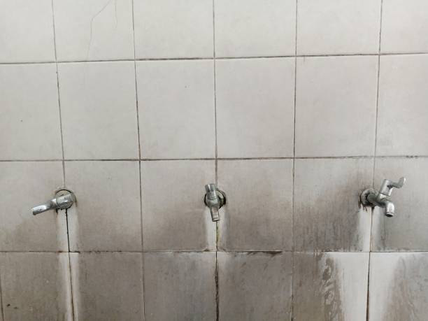 Best Sewage cleanup and water damage restoration  in Emeryville, CA