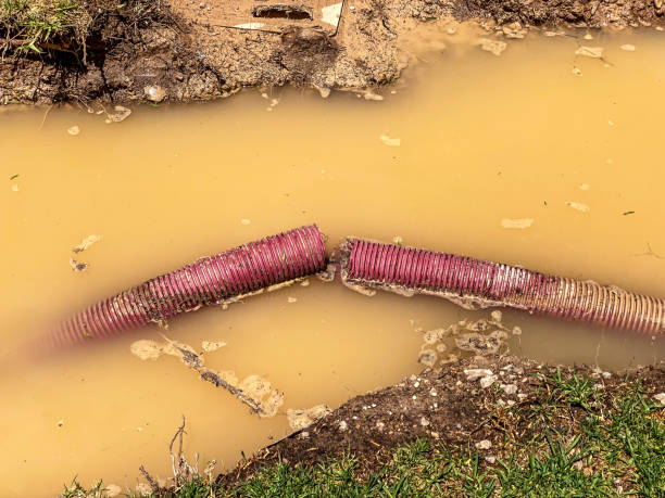 Best Flood damage cleanup  in Emeryville, CA