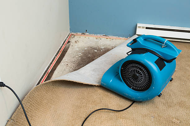 Trusted Emeryville, CA Water damage restoration Experts